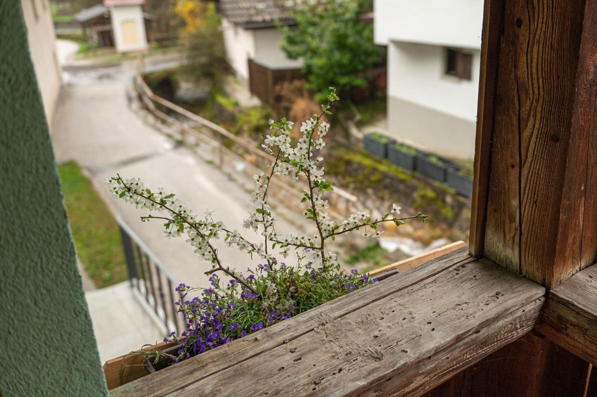 Zelena Hisa Pri Bjov Apartment Bohinjska Bela Exterior photo